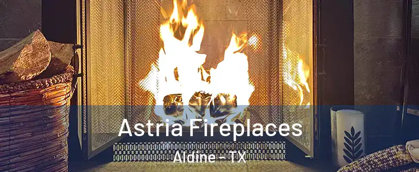  Astria Fireplaces Aldine - TX