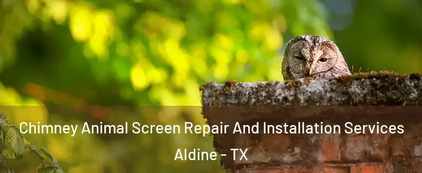 Chimney Animal Screen Repair And Installation Services Aldine - TX