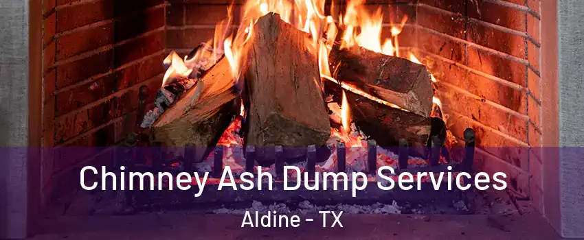  Chimney Ash Dump Services Aldine - TX