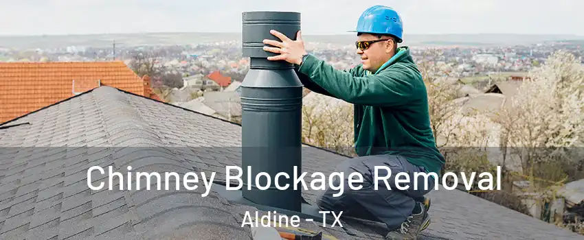  Chimney Blockage Removal Aldine - TX