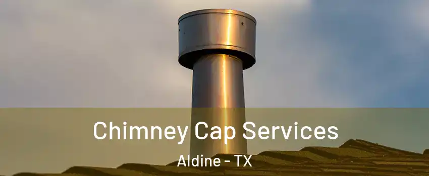  Chimney Cap Services Aldine - TX