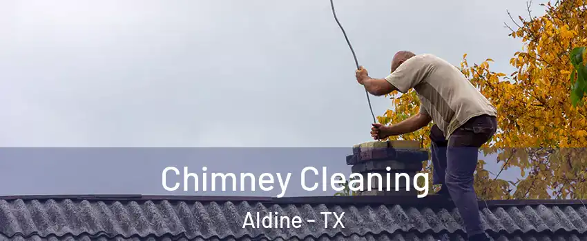 Chimney Cleaning Aldine - TX