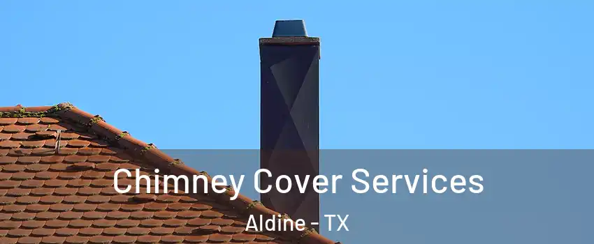  Chimney Cover Services Aldine - TX