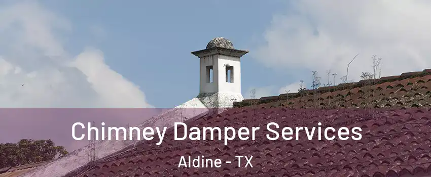  Chimney Damper Services Aldine - TX