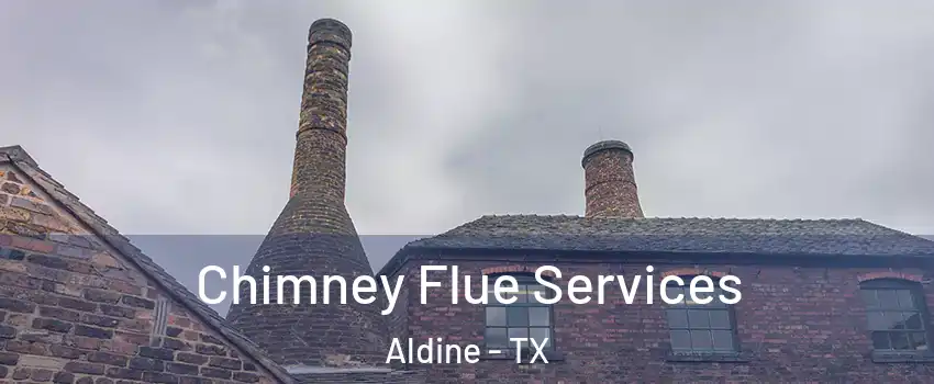  Chimney Flue Services Aldine - TX