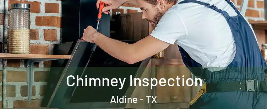  Chimney Inspection Aldine - TX