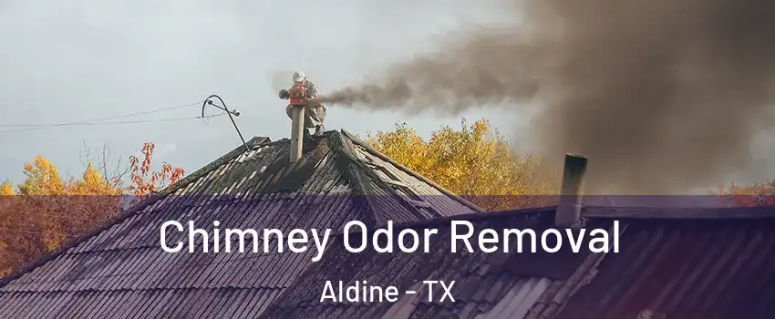  Chimney Odor Removal Aldine - TX