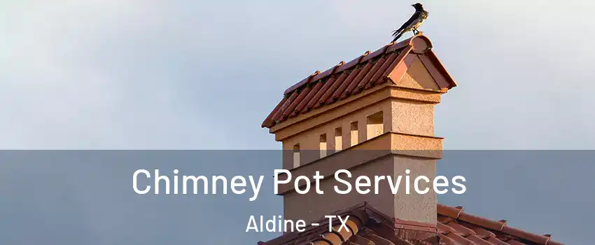  Chimney Pot Services Aldine - TX