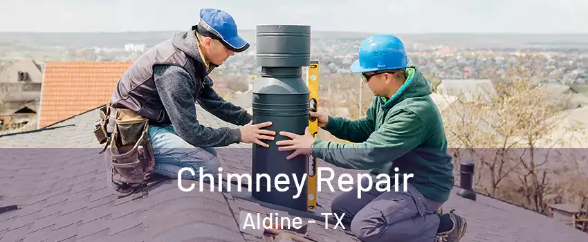  Chimney Repair Aldine - TX