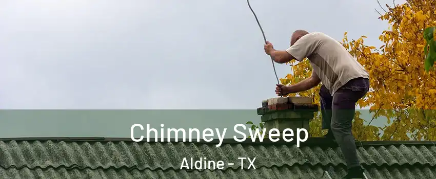  Chimney Sweep Aldine - TX