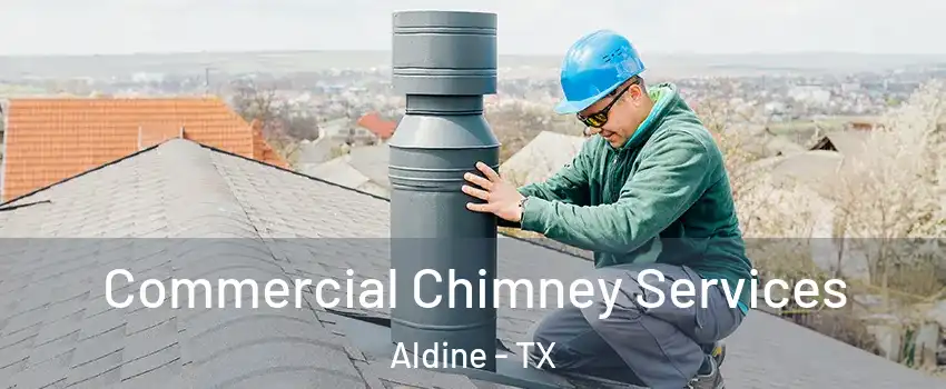  Commercial Chimney Services Aldine - TX