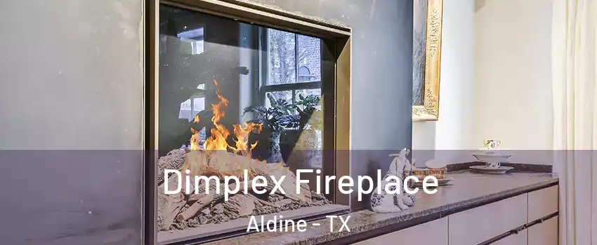  Dimplex Fireplace Aldine - TX