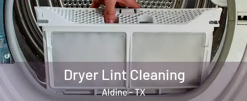 Dryer Lint Cleaning Aldine - TX