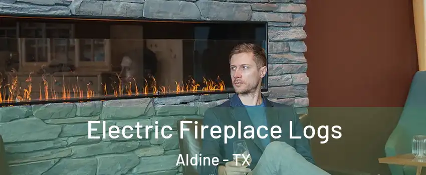  Electric Fireplace Logs Aldine - TX