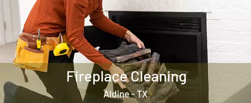  Fireplace Cleaning Aldine - TX