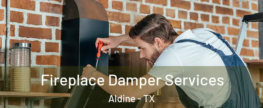  Fireplace Damper Services Aldine - TX
