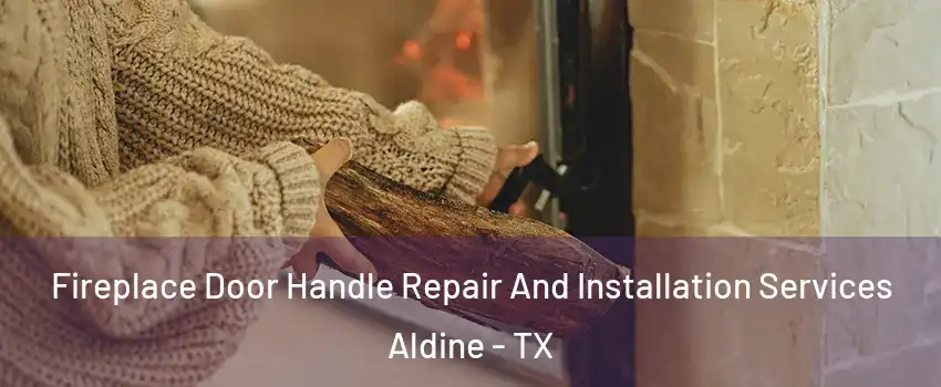 Fireplace Door Handle Repair And Installation Services Aldine - TX