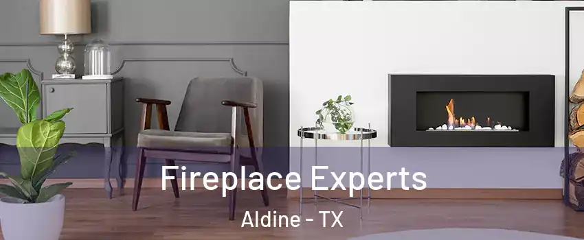  Fireplace Experts Aldine - TX