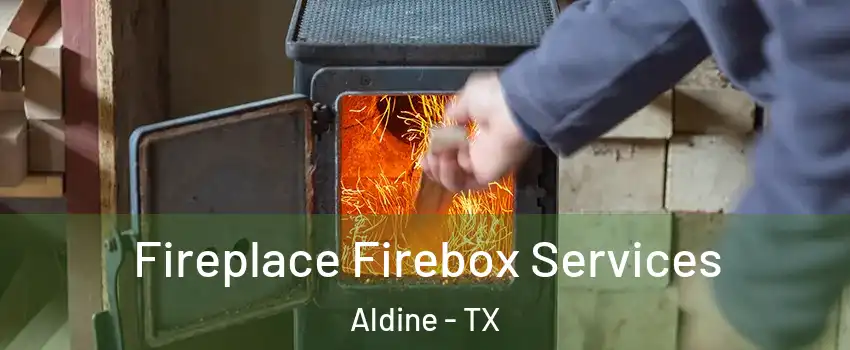 Fireplace Firebox Services Aldine - TX
