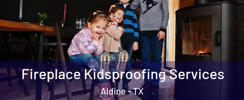  Fireplace Kidsproofing Services Aldine - TX