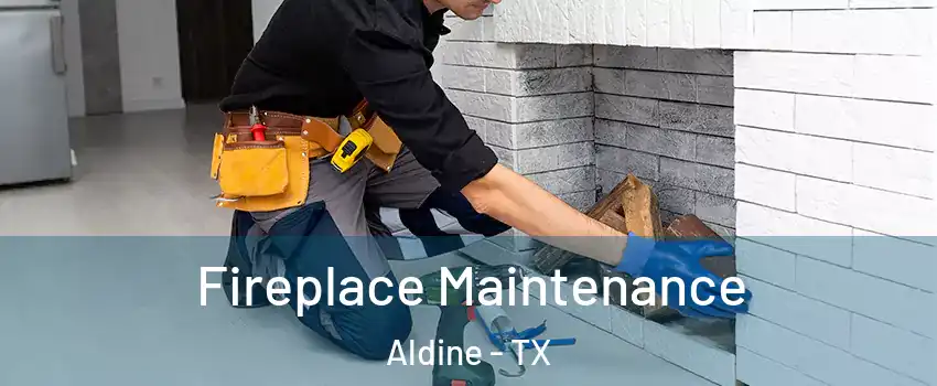  Fireplace Maintenance Aldine - TX