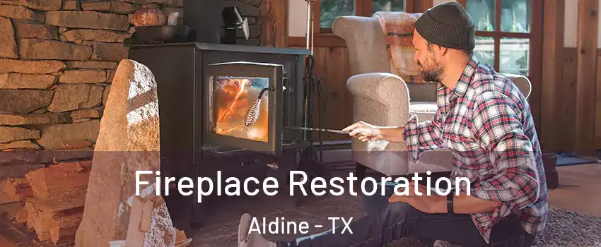  Fireplace Restoration Aldine - TX