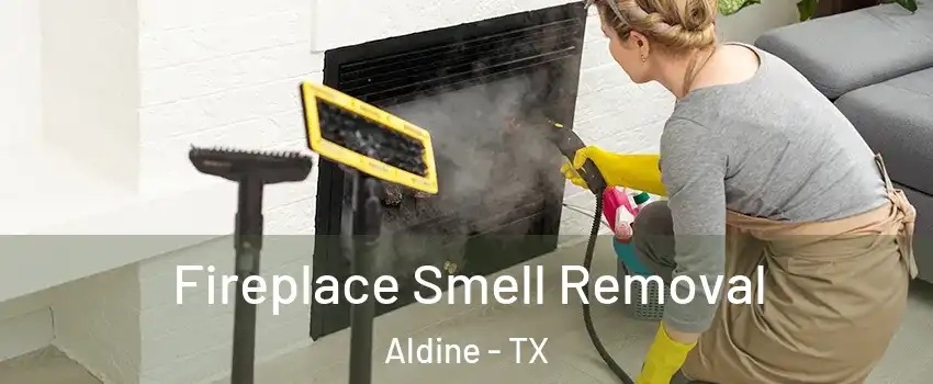  Fireplace Smell Removal Aldine - TX