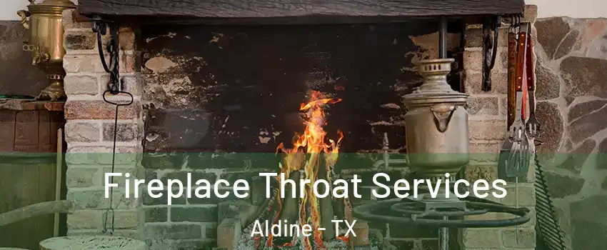  Fireplace Throat Services Aldine - TX