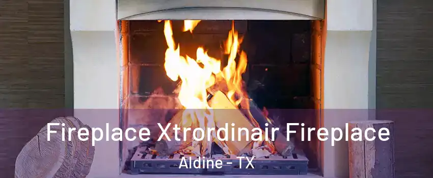  Fireplace Xtrordinair Fireplace Aldine - TX