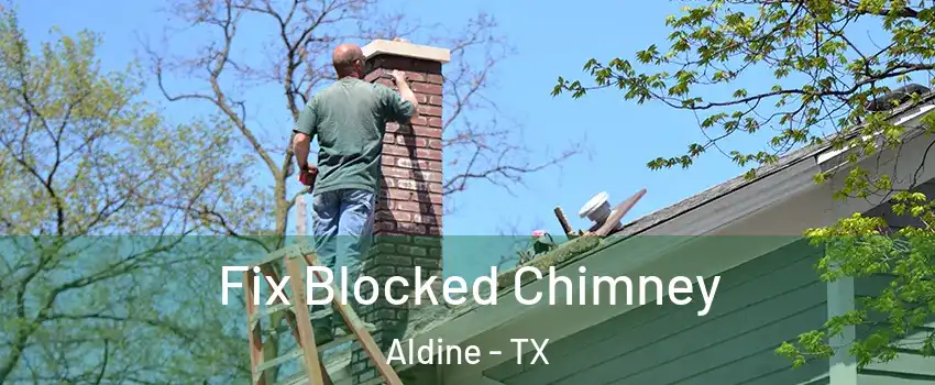  Fix Blocked Chimney Aldine - TX