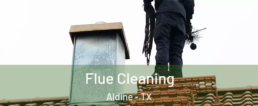  Flue Cleaning Aldine - TX