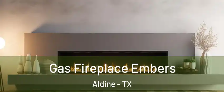  Gas Fireplace Embers Aldine - TX