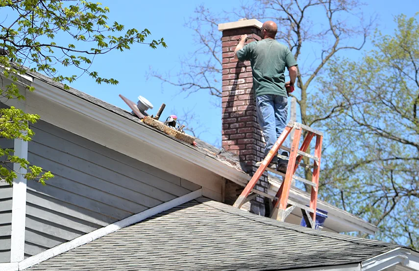 Chimney & Fireplace Inspections Services in Aldine, TX