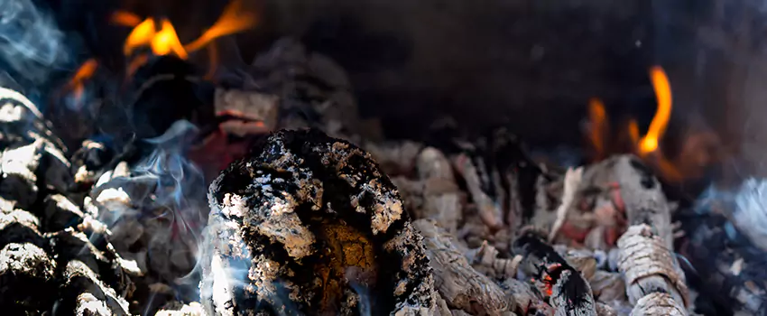 Creosote Removal Experts in Aldine, TX