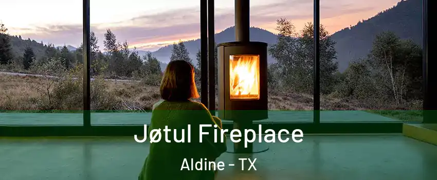  Jøtul Fireplace Aldine - TX