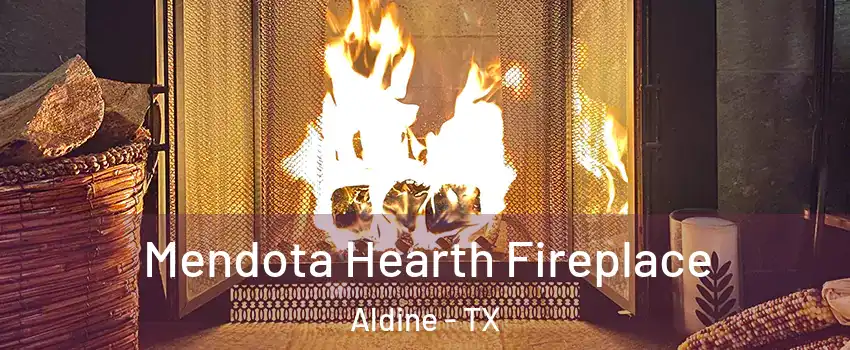  Mendota Hearth Fireplace Aldine - TX