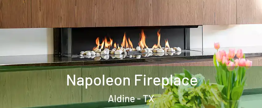  Napoleon Fireplace Aldine - TX