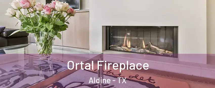  Ortal Fireplace Aldine - TX