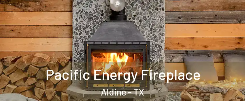  Pacific Energy Fireplace Aldine - TX