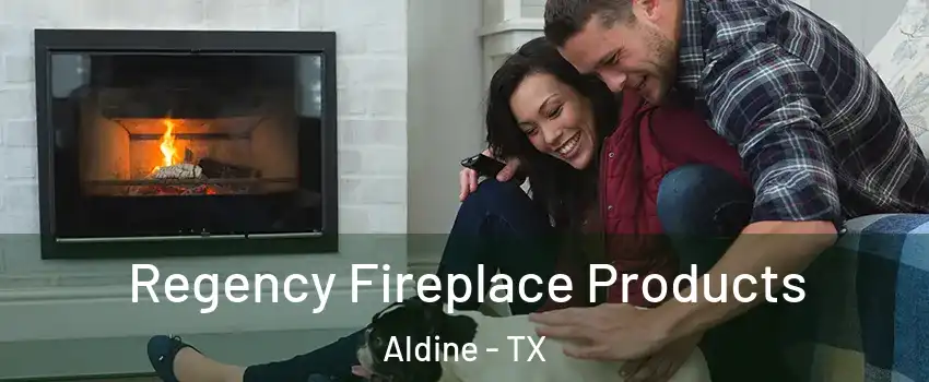  Regency Fireplace Products Aldine - TX